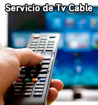 service-img